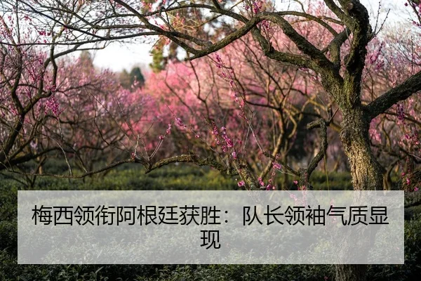 img_1788166836175_4285_0_149.jpg（jinnianhui）